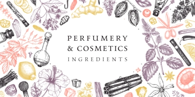 Perfumery and cosmetics ingredients banner. Flower, fruit, spice, herb sketches. Hand drawn vector illustration. Cosmetics design template. Aromatic plants background
